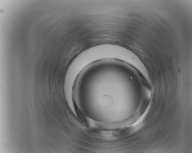 X0000076450190200610161321