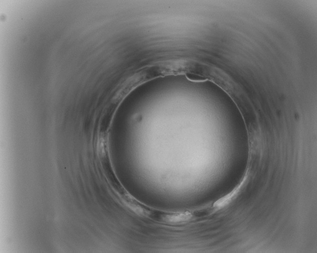 X0000076450191200610161321