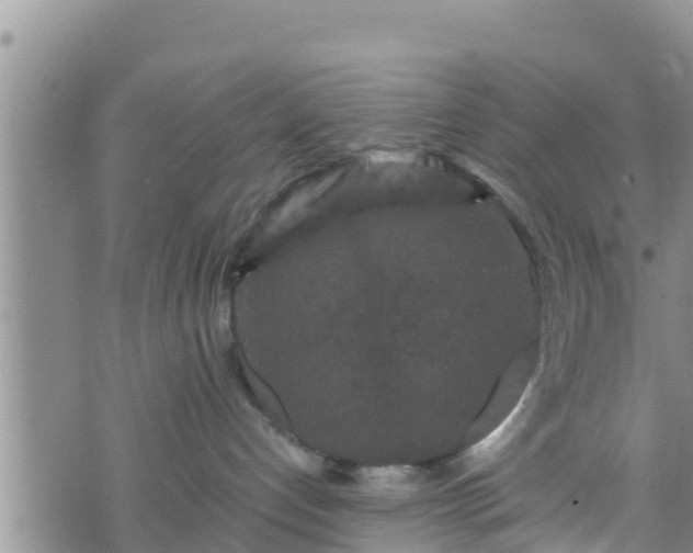 X0000076450192200610161321