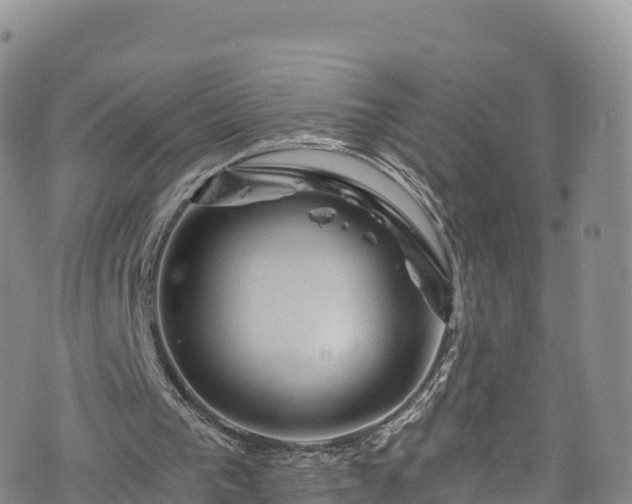 X0000076450193200610161320