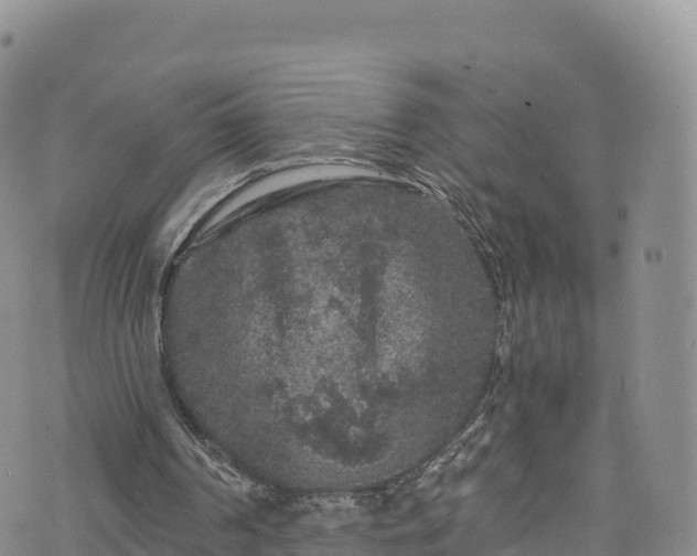 X0000076450194200610161320