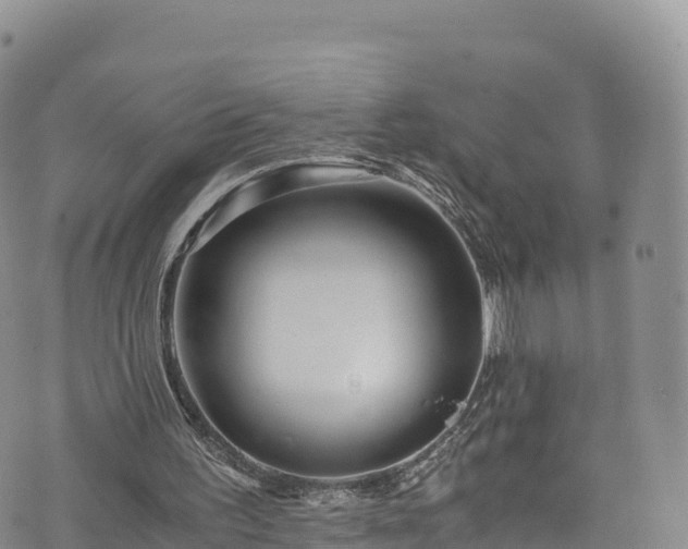 X0000076450195200610161320