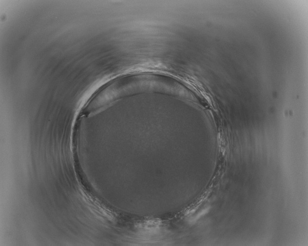 X0000076450196200610161320