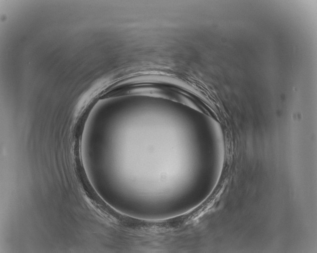 X0000076450197200610161320