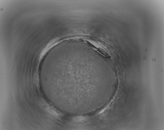 X0000076450198200610161320