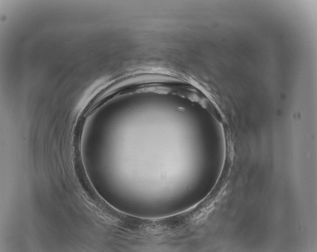 X0000076450199200610161320