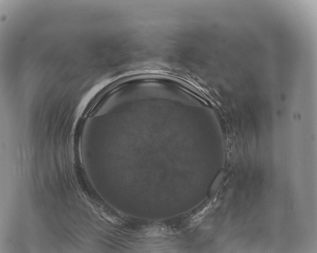 X0000076450200200610161320