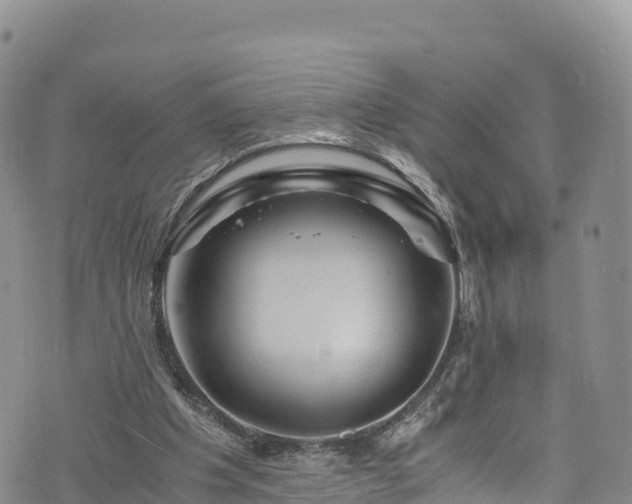 X0000076450201200610161320