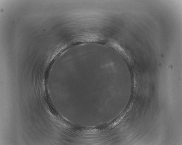 X0000076450202200610161320