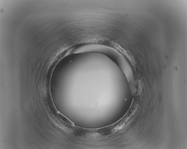 X0000076450203200610161320