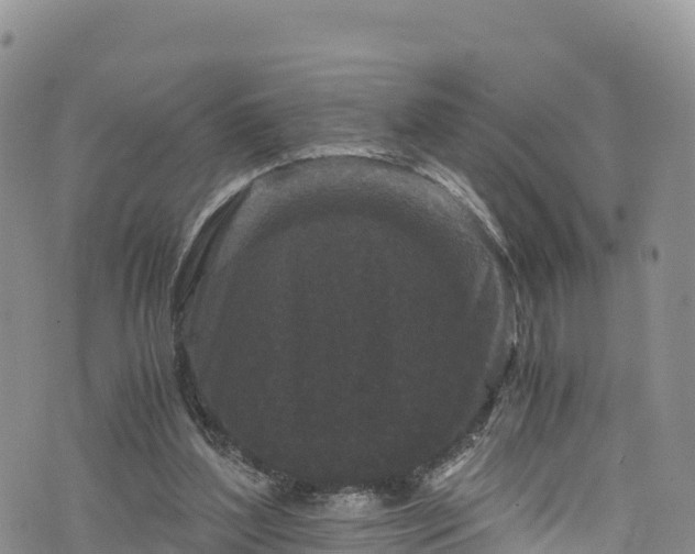 X0000076450204200610161320