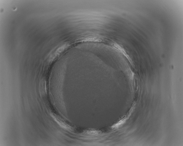 X0000076450205200610161320