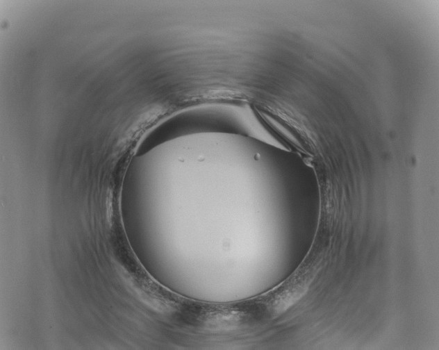 X0000076450206200610161320