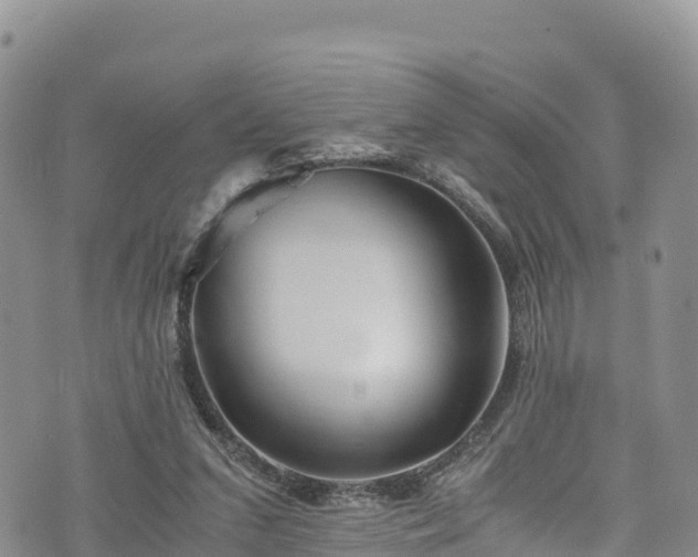 X0000076450207200610161320