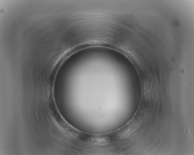 X0000076450208200610161320