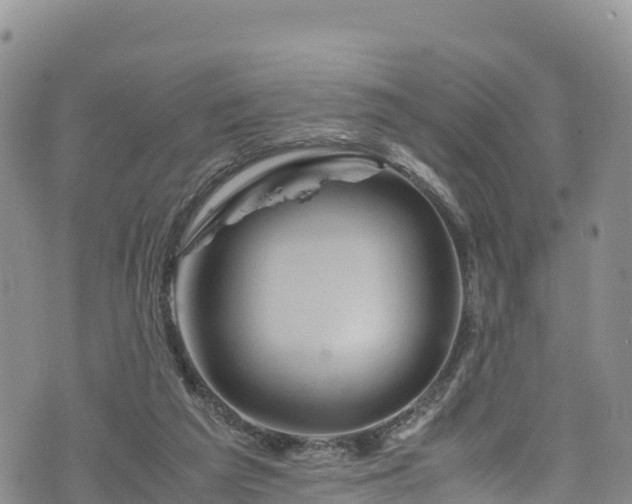 X0000076450209200610161320