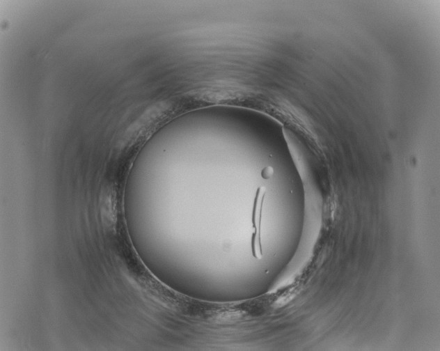 X0000076450210200610161320