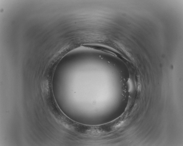 X0000076450211200610161320