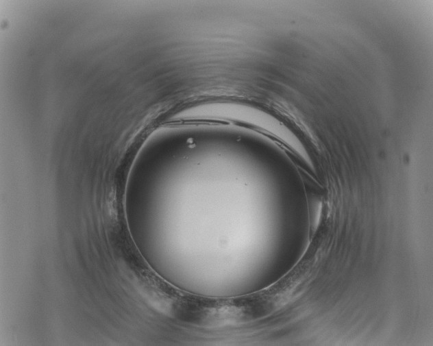 X0000076450212200610161320