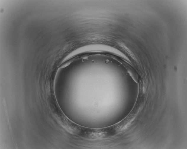 X0000076450213200610161320