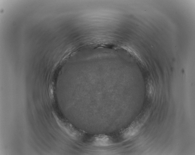 X0000076450214200610161320