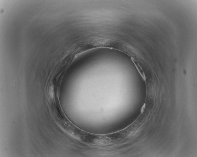 X0000076450215200610161320