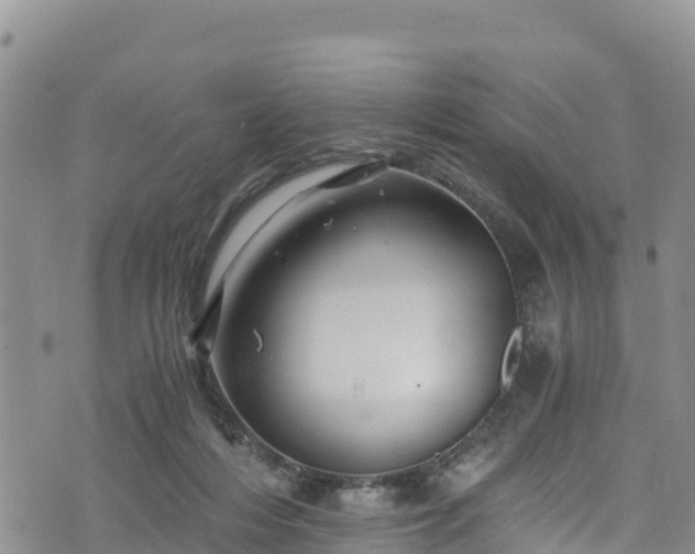 X0000076450216200610161320