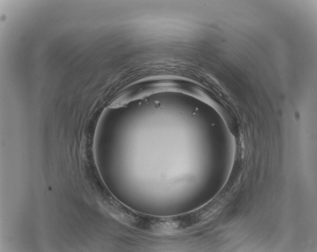 X0000076450217200610161320