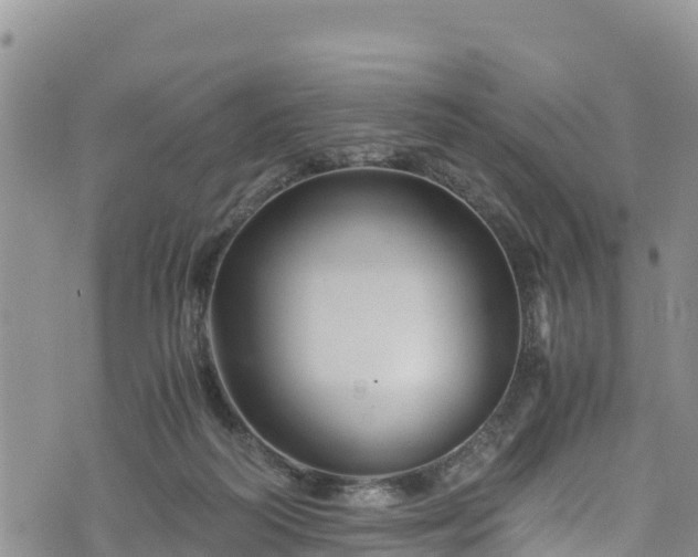 X0000076450218200610161320