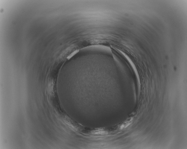 X0000076450219200610161320