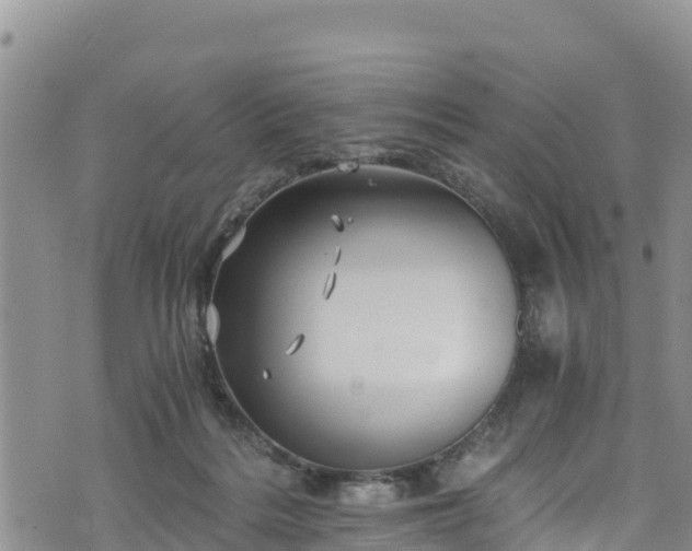 X0000076450220200610161319