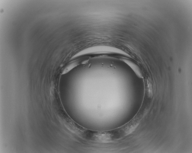 X0000076450221200610161319