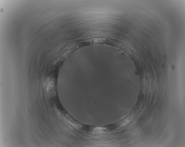 X0000076450222200610161319