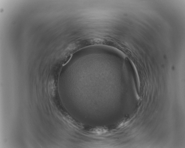 X0000076450223200610161319