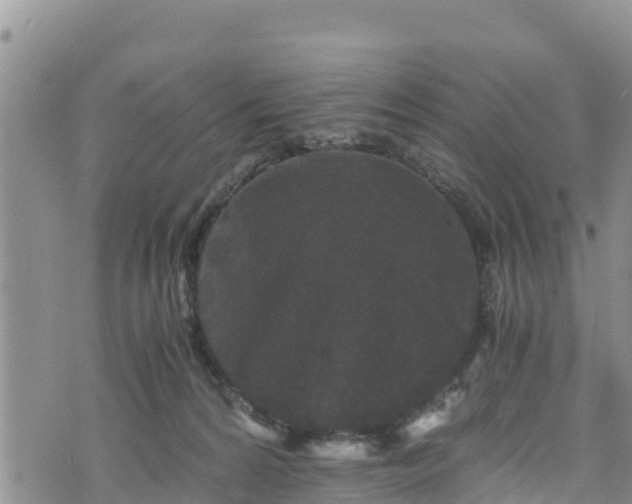 X0000076450224200610161319