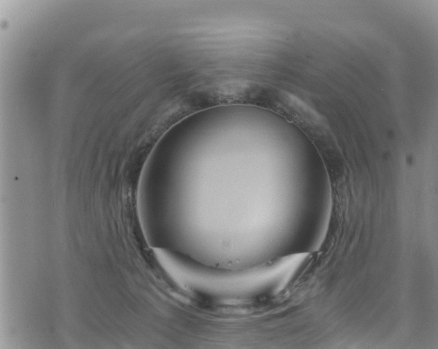 X0000076450225200610161319