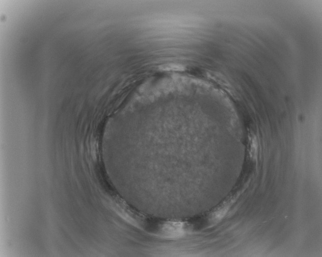 X0000076450227200610161319