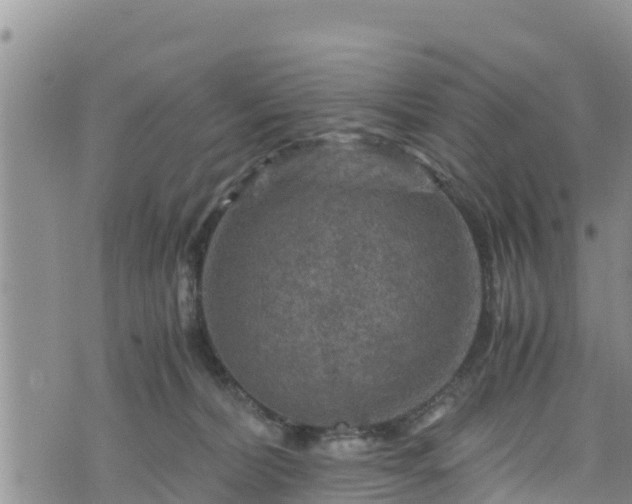 X0000076450228200610161319