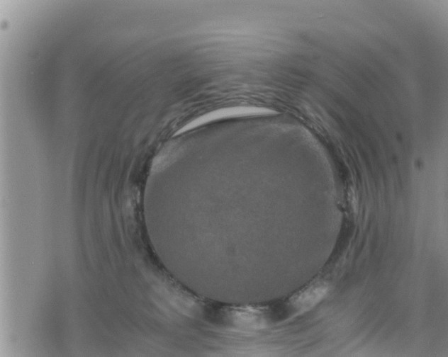 X0000076450229200610161319