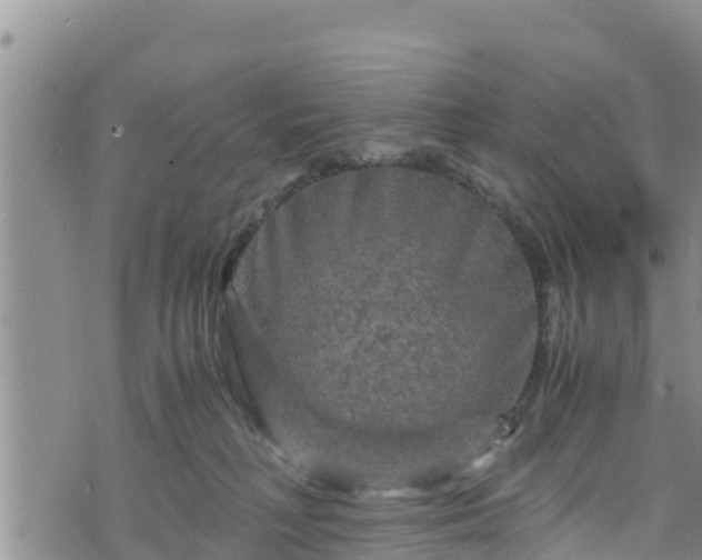 X0000076450230200610161319