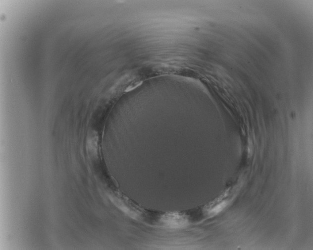 X0000076450231200610161319