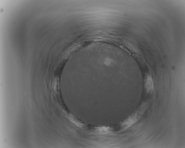 X0000076450233200610161319