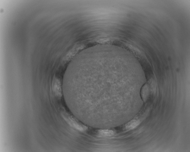 X0000076450234200610161319