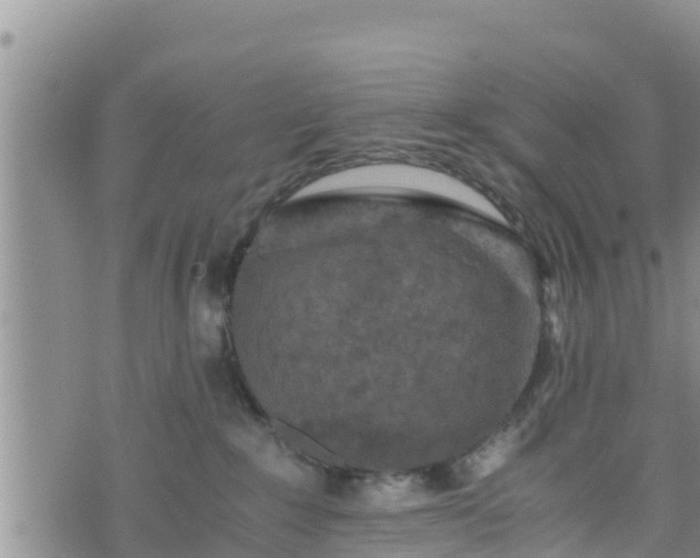 X0000076450235200610161319