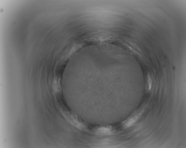 X0000076450236200610161319