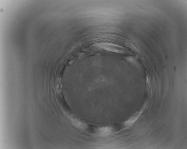 X0000076450237200610161319