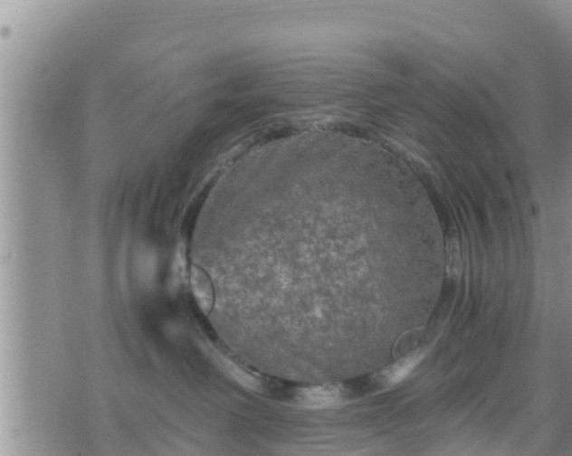 X0000076450238200610161319