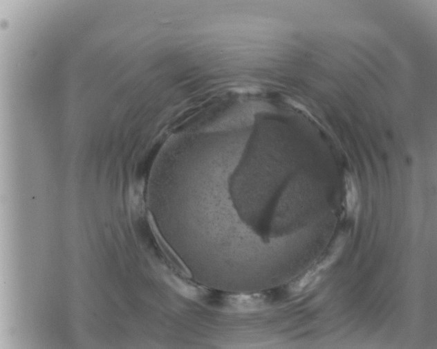 X0000076450239200610161319