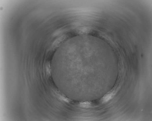 X0000076450240200610161319