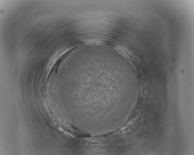 X0000076450241200610161318